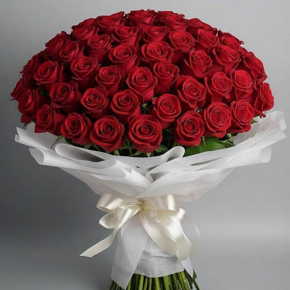 101 Красная роза Блэк Мэджик в Новодмитриевской Букет 101 Красная роза Блэк Мэджик в Новодмитриевской