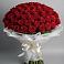 101 Красная роза Блэк Мэджик в Новодмитриевской Букет 101 Красная роза Блэк Мэджик в Новодмитриевской