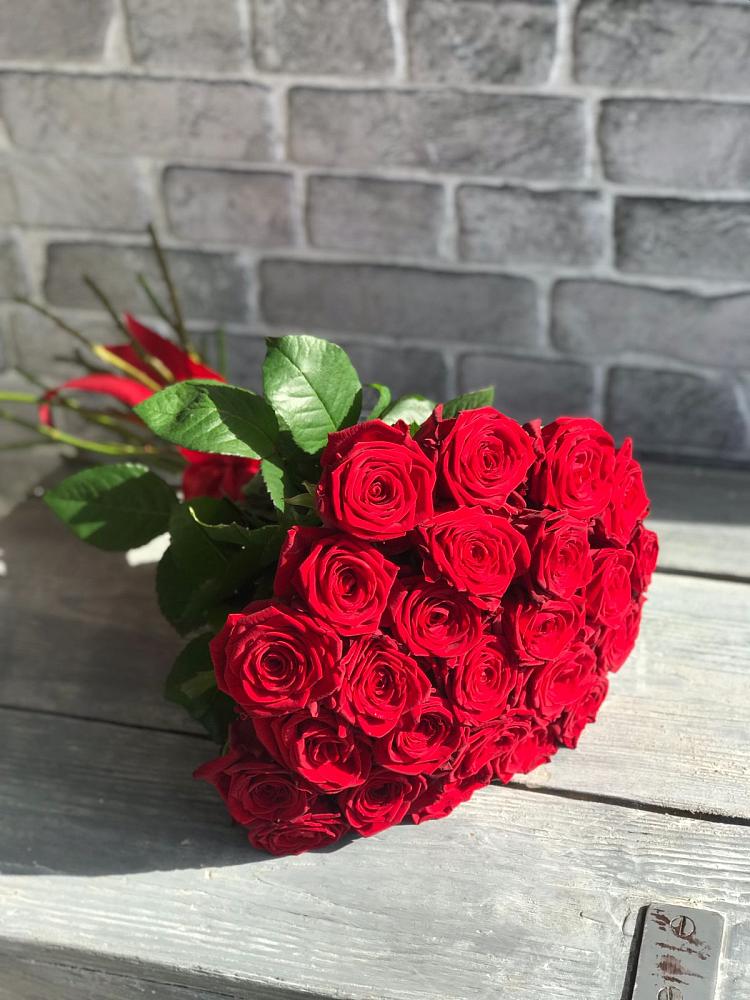 Красные розы Фридом в Новодмитриевской Букет Красные розы Фридом в Новодмитриевской