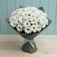 Букет цветов из:  Хризантемы в Новодмитриевской