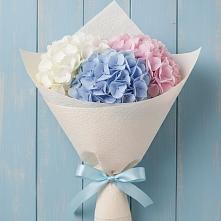 Букет Нежная гортензия в Новодмитриевской Букет цветов из:  Гортензия в Новодмитриевской