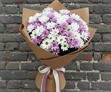 Букет грани совершенства в Новодмитриевской Букет цветов из:  Хризантемы в Новодмитриевской