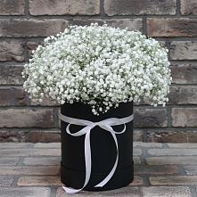 Композиция коробка гипсофил в Новодмитриевской Цветочная композиция из Гипсофила в шляпной коробке в Новодмитриевской