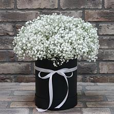 Цветочная композиция из Гипсофила в шляпной коробке в Новодмитриевской
