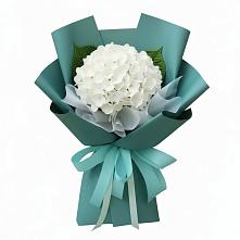 Букет Лёгкое облако в Новодмитриевской Букет цветов из:  Гортензия в Новодмитриевской